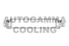 AUTOGAMMA 105945 Intercooler, charger